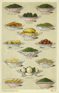 Plats de légumes - English School