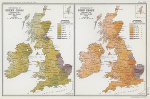 Répartition des cultures vertes, répartition des cultures céréalières - English School