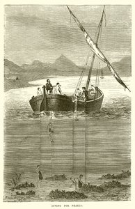 Plongée pour les perles - English School