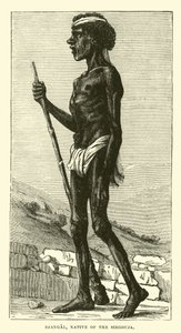 Djangal, natif du Sirgouja - English School