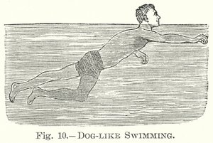 Nager comme un chien (gravure) - English School
