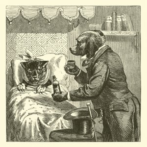 Chien donnant des pilules à un chat malade - English School