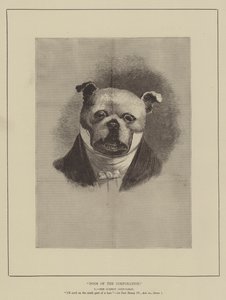 Chiens de la corporation - English School