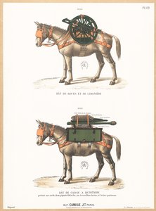 Ânes portant des selles