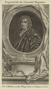 Dr Herman Boerhaave - English School