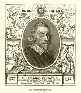 Dr. William Harvey - English School