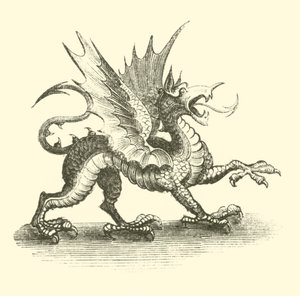 Dragon - English School