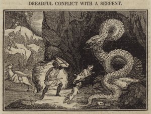 Conflit terrible avec un serpent - English School