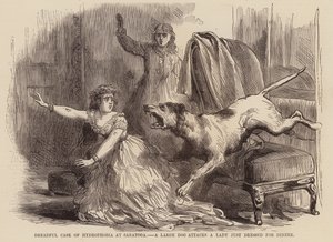 Cas effroyable de rage à Saratoga, un gros chien attaque une dame juste habillée pour le dîner - English School