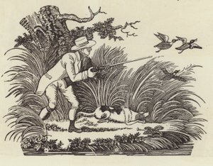 Chasse au canard - English School