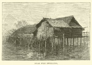Habitation sur pilotis dyak - English School