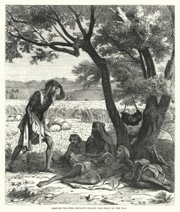 Moissonneurs orientaux se reposant pendant la chaleur du jour (gravure) - English School