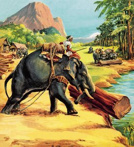 Éléphant. Illustration de Elephant Bill par le lieutenant-colonel J. H. Williams