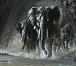 Éléphants