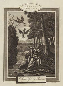 Élie nourri par les corbeaux, I Rois, Chapitre XVII, Verset 6 - English School