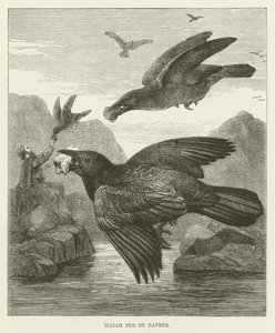 Élie nourri par les corbeaux - English School