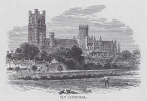 Cathédrale d