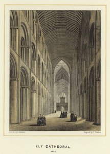 Cathédrale d