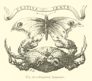 Empereur Auguste - English School