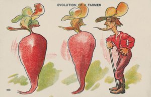Évolution d