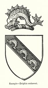 Exemple, dauphin courbé (gravure) - English School
