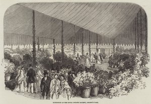 Exposition de la Société Royale de Botanique, Regent