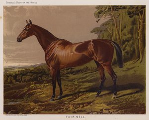 Belle Nell (lithographie en couleur) - English School