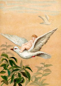Fée chevauchant une colombe blanche - English School