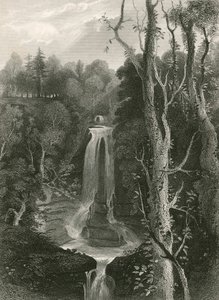 Chutes d