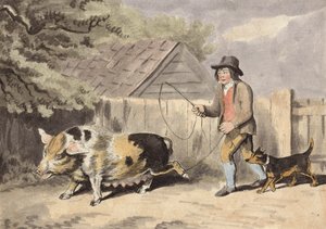 Fermier emmenant son cochon au marché (gravure en couleur)