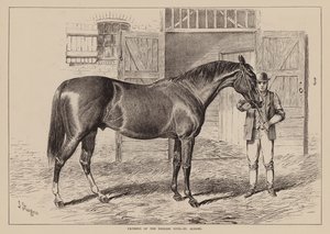 Pères du haras anglais, St Albans (gravure) - English School
