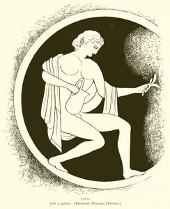 Faune - English School