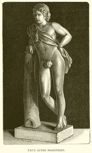 Faune d