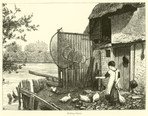 Nourrir les canards - English School