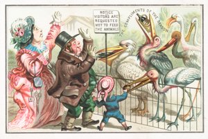 Nourrir les oiseaux au zoo - English School