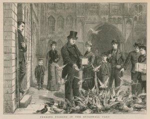 Nourrir les pigeons dans la cour de Guildhall - English School