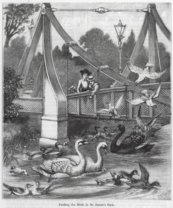 Nourrir les oiseaux dans le parc St James (gravure) - English School