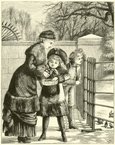 Nourrir les Oiseaux dans le Parc - English School