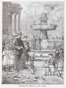 Nourrir les pigeons à St Paul (gravure) - English School