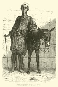 Fellah, Arabe; garçon à l