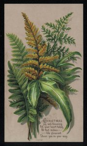 Arrangement de feuilles festives, carte de Noël - English School