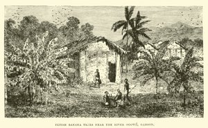 Arbres à bananes fétiches près de la rivière Ogowe, Gabon - English School