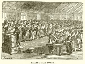 Remplissage des Boîtes - English School