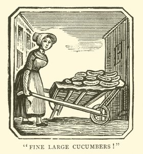 Beaux gros concombres - English School