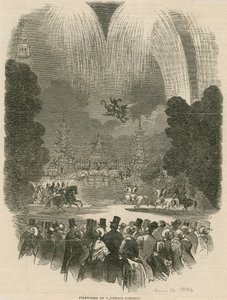Feu d