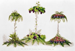 Premier prix pour la décoration de table, Royal Horticultural Society, 1851 - English School