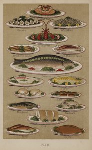 Poisson - English School