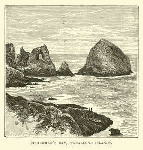 Baie des Pêcheurs, Îles Farallon - English School