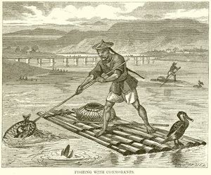 Pêche avec des cormorans - English School