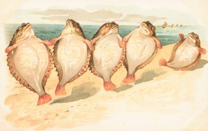 Cinq poissons plats dansant sur une plage